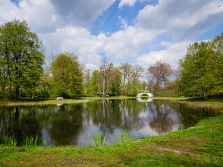 Fototapeta na wymiar Stadtpark mit Teich in Senftenberg 