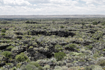 Fototapeta na wymiar Valley of Fire. Area with volcano lava, near Carrizozo (New Mexico).