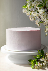 pink cake on a stand with branches of cherry blossoms under the rays of the sun