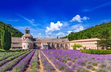 Abbaye de Senanque, Provence lavender in France - obrazy, fototapety, plakaty