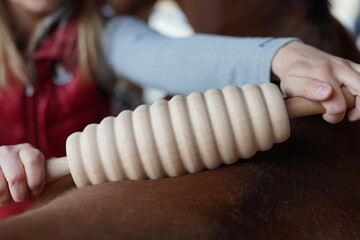 Faszienrolle Anwendung am Pferd © sabrina