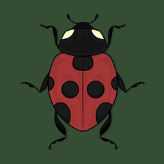 Ladybug in natural colors on green background.