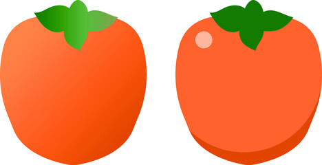Persimmon vector