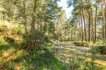 Senda de las pesquerías reales en Valsaín Segovia