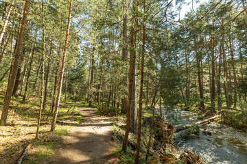 Obraz premium Senda de las pesquerías reales en Valsaín Segovia
