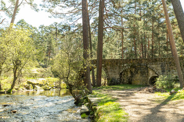 Senda de las pesquerías reales en Valsaín Segovia