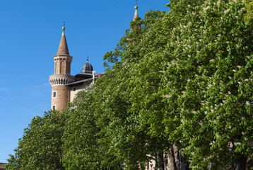 Beautiful view of trees behind Ducal Palace of Urbino in Urbino, Italy