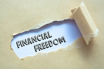 Text sign showing Financial Freedom 