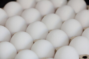 eggs in a row