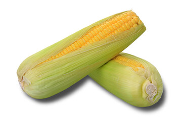 Close up fresh raw Corn isolated on white background with clipping path selection.