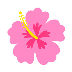 hibiscus flower, Hawaiian tropical plant