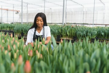 Agriculture management. Smiling african american girl makes photo of flowers plantation in greenhouse, side view, free space