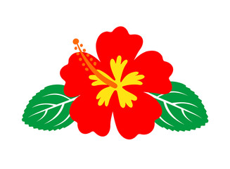 hibiscus flower, Hawaiian tropical plant © Belle's