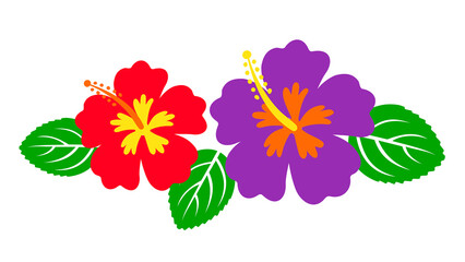 Hawaiian hibiscus flowers, tropical bouquet © Belle's