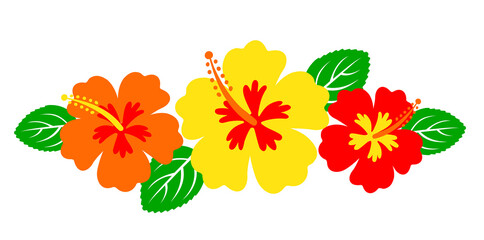 Hawaiian hibiscus flowers, tropical bouquet - obrazy, fototapety, plakaty