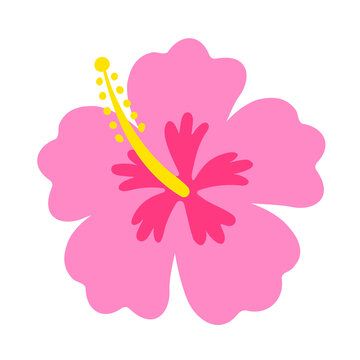 hibiscus flower, Hawaiian tropical plant