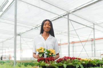 Agriculture management. Smiling african american girl makes photo of flowers plantation in greenhouse, side view, free space