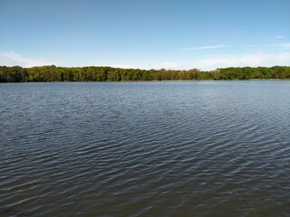 lake in the forest