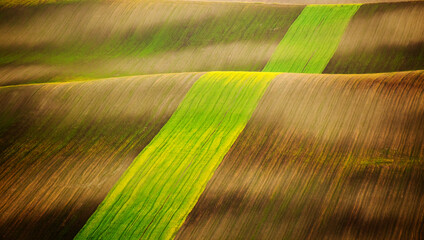 Idyllic sunlight on the wavy fields. Location place of South Moravia region, Czech Republic, Europe.