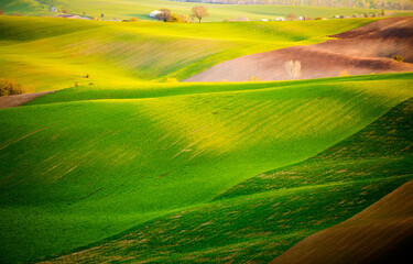 Perfect sunlight on the wavy fields of agricultural area. Location place of South Moravia region, Czech Republic, Europe.
