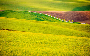 Perfect sunlight on the wavy fields of agricultural area. Location place of South Moravia region,...