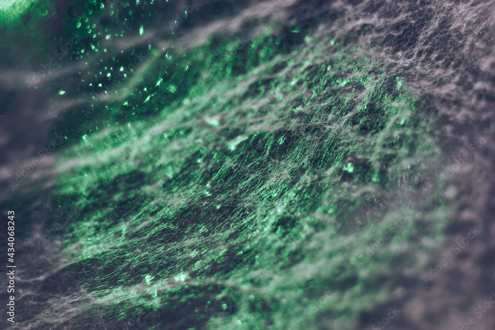 Aufkleber Beautiful abstract  green texture web. Background pattern for design. Macro photography view.