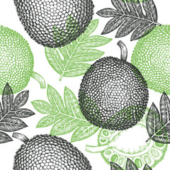 Hand drawn sketch style jackfruit seamless pattern. Organic fresh fruit vector illustration. Retro breadfruit background