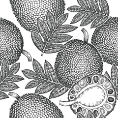 Hand drawn sketch style jackfruit seamless pattern. Organic fresh fruit vector illustration. Retro breadfruit background