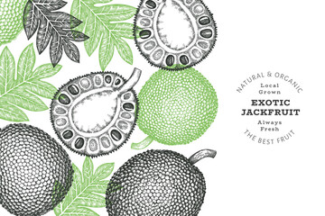 Hand drawn sketch style jackfruit banner. Organic fresh fruit vector illustration. Retro breadfruit design template