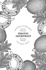 Hand drawn sketch style jackfruit banner. Organic fresh fruit vector illustration. Retro breadfruit design template
