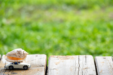 closeup of car on old wood planks texture and grass background
