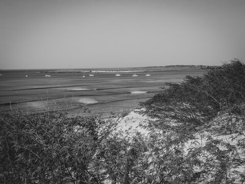 Monochrome tropical view in Cape Verde. Dense bushes growing on a sand dune, small boats and yachts floating in the marine. Selective focus on the horizon, blurred background. - Powered by Adobe