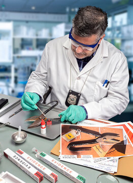 Police scientist extracts DNA sample from a tweezers in a crime lab, concept image