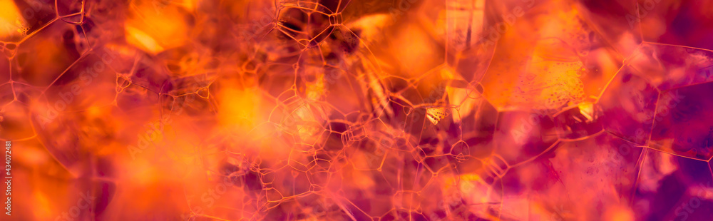 Aufkleber lather. abstract background from bubbles and soap foam. beautiful macro structure.