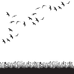  isolated, a flock of birds flies in nature