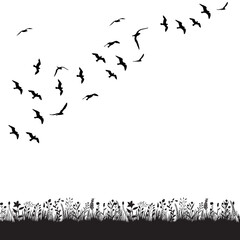 flock of birds flies in nature