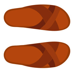 vector, isolated, male brown flip-flops