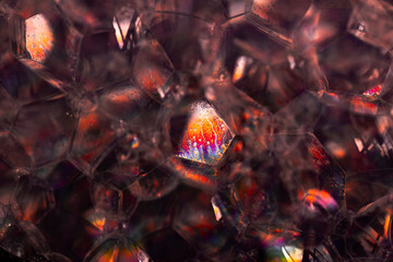 Lather. Abstract Background from Bubbles and Soap Foam. Beautiful Macro Structure.