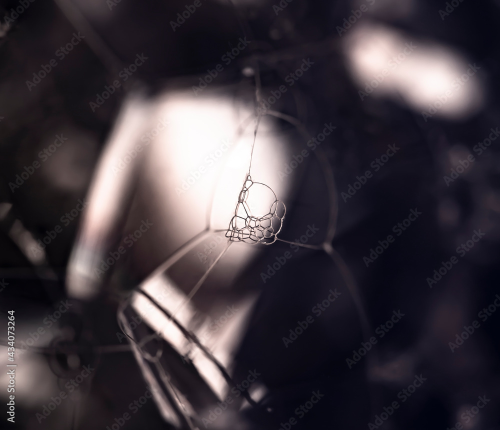 Aufkleber lather. monochrome abstract background from bubbles and soap foam. beautiful macro structure.