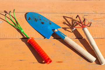 A set of small gardening tools, including a rake and a shovel, lie on a bench in the garden