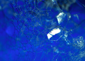 Lather. Abstract Background from Bubbles and Soap Foam. Beautiful Macro Structure.