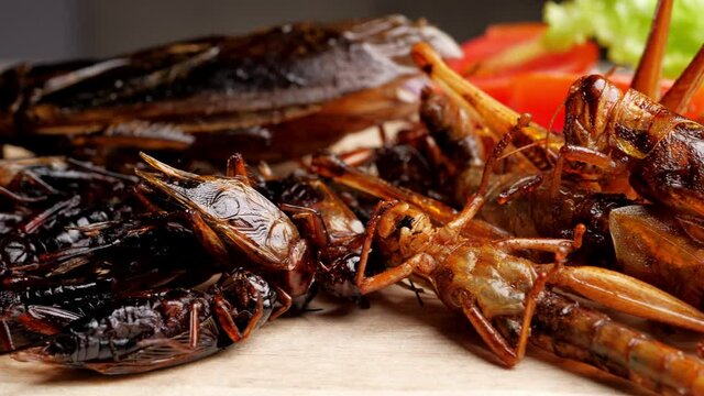 Fried insects on wooden plate. Insects are foods that are high in protein.