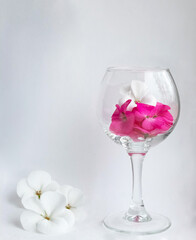 White and pink flowers in a transparent glass on white background, free space.