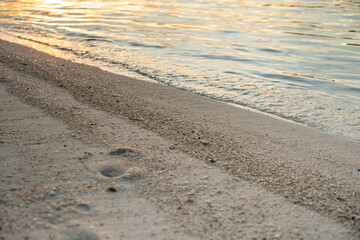 Fototapeta na wymiar focus of texture of sand beach