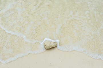 the coral rock on the beach against surf