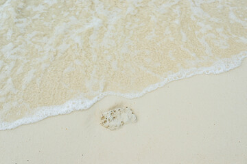Fototapeta na wymiar the coral rock on the beach against surf
