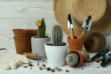 Concept of gardening on white wooden background