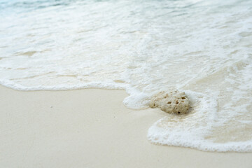 the coral rock on the beach against surf