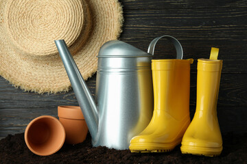 Concept of gardening on soil against wooden background