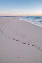 Llevant beach, Es Trucadors , Formentera, Pitiusas Islands, Balearic Community, Spain